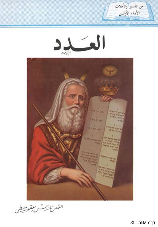 العدد